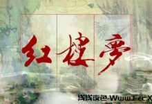 红楼梦：第一百十七回阻超凡佳人双护玉　欣聚党恶子独承家-浅浅夜色