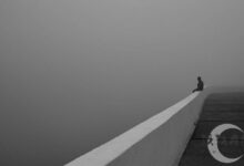 这大概是孤独最温柔的模样