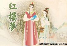 红楼梦：第一百十五回惑偏私惜春矢素志　证同类宝玉失相知-浅浅夜色