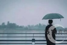 少年，这便是你儿时朝思暮想的成年-浅浅夜色