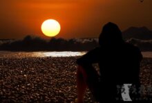 或者孤独才是是生命的底色！